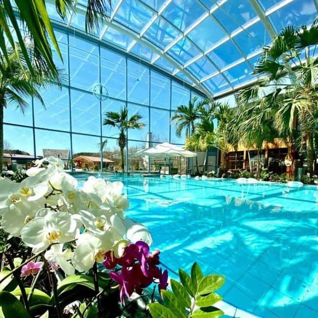 Bucharest: All Day Therme with Elysium Experience - Key highlights at a glance