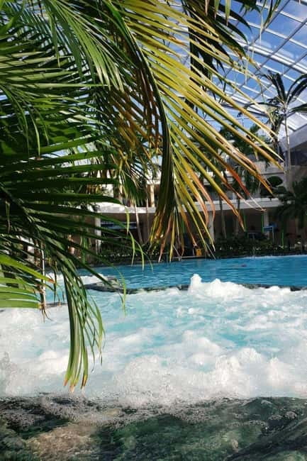 Bucharest: All Day Therme with Elysium Experience - Who should book this Therme day, and who should skip it