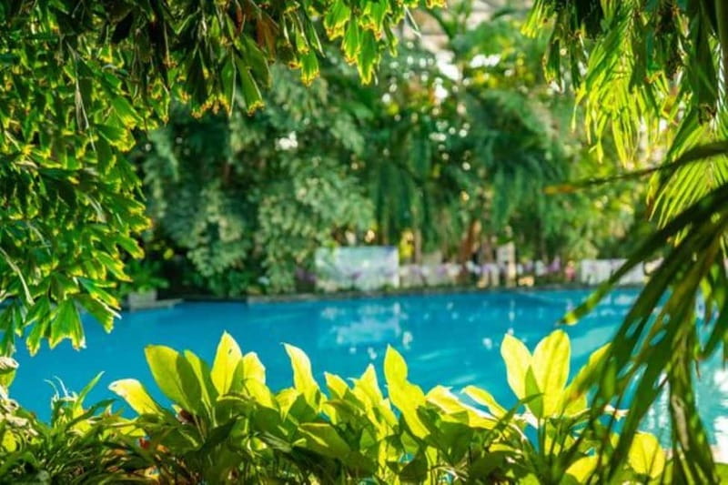 Bucharest: All Day Therme with Elysium Experience - Practical do’s before you go