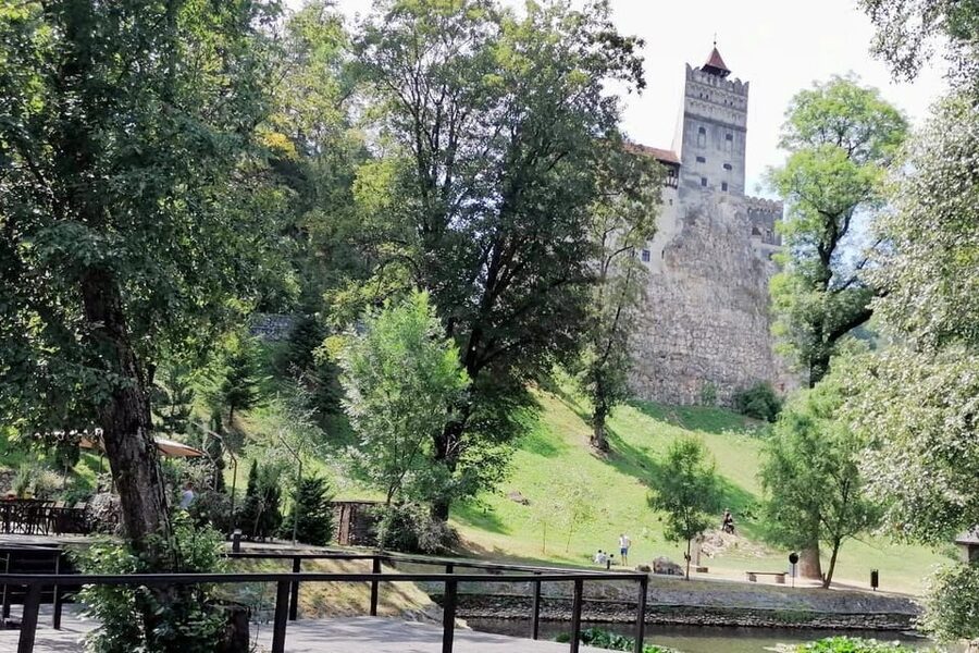 Bucharest: Bran Castle and Bear Sanctuary Small-Group Tour - Price and Value: Is $145 Worth It?