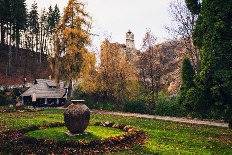 Bucharest: Bran Castle and Bear Sanctuary Small-Group Tour - The Carpathian Drive: Comfort, Scenic Stops, and Real Romania Talk