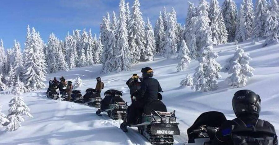 Bucharest: Carpathian Snowmobile / ATV Adventure Tour - Getting to Prahova: Van Time, Café Break, and Azuga Arrival