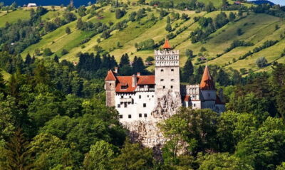 Day Trip to Bear Sanctuary, Bran Castle & Brasov