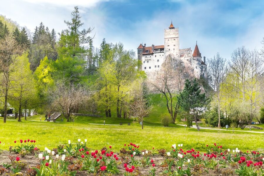 Bucharest: Day Trip to Dracula Castle, Peles Castle & Brașov - Timing, walking, and making it comfortable for 14 hours