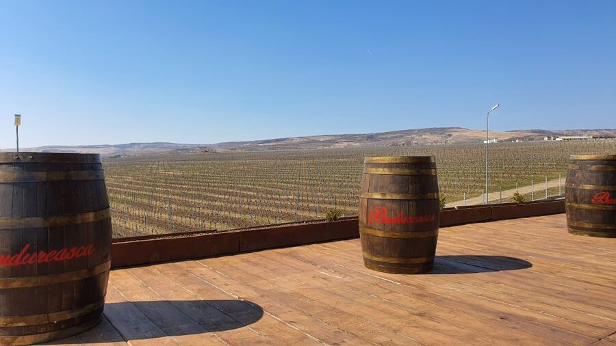 Bucharest: Dealu Mare Winery Private Trip with Wine Tasting - Key highlights you will feel on the day