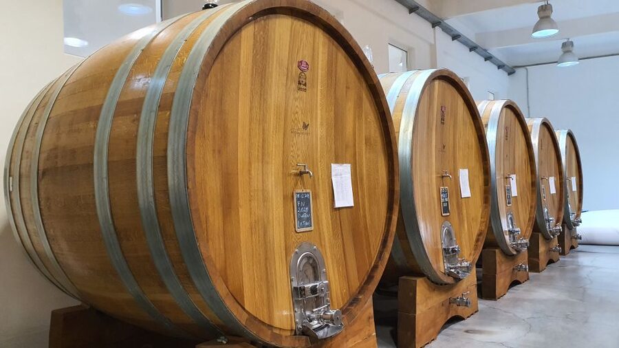 Bucharest: Dealu Mare Winery Private Trip with Wine Tasting - Small decisions you can make before you go