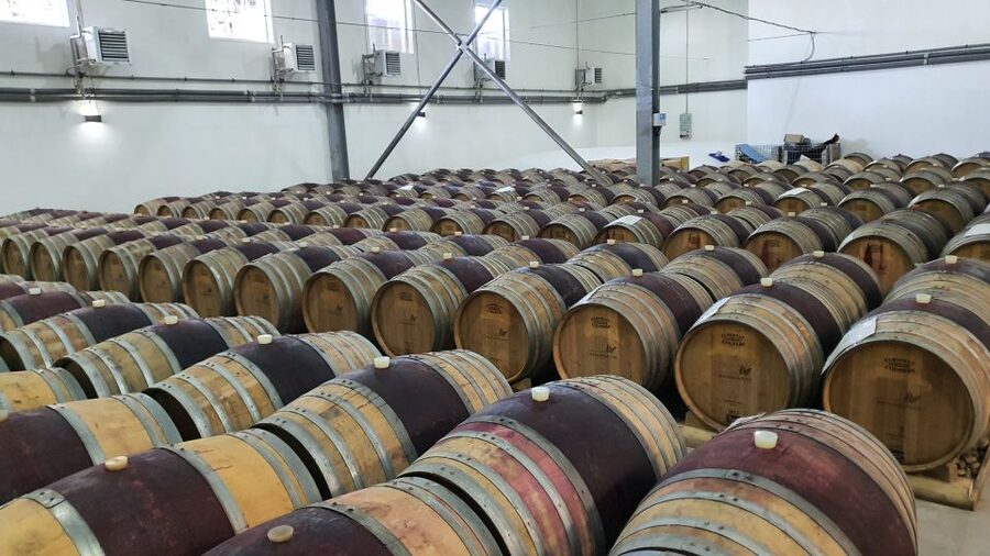 Bucharest: Dealu Mare Winery Private Trip with Wine Tasting - Why this Dealu Mare trip feels like a real day out