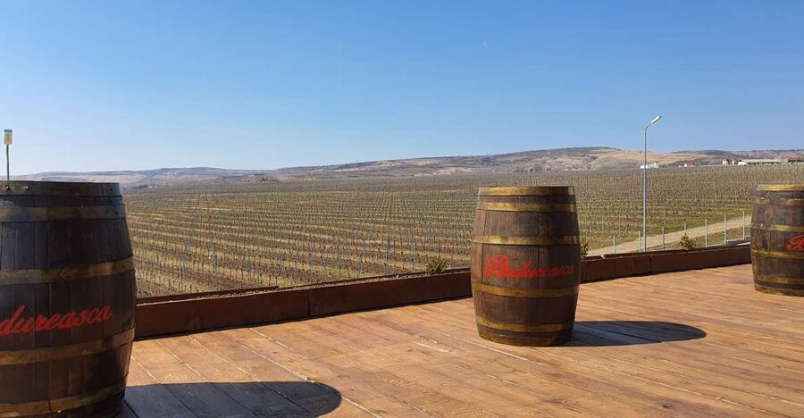 Bucharest: Dealu Mare Winery Private Trip with Wine Tasting - Stop 1: your first guided winemaker visit and tasting pace