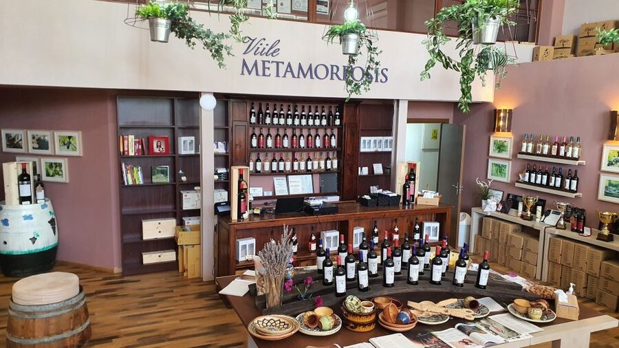 Bucharest: Dealu Mare Winery Private Trip with Wine Tasting - Your guide and the human side of Romanian wine