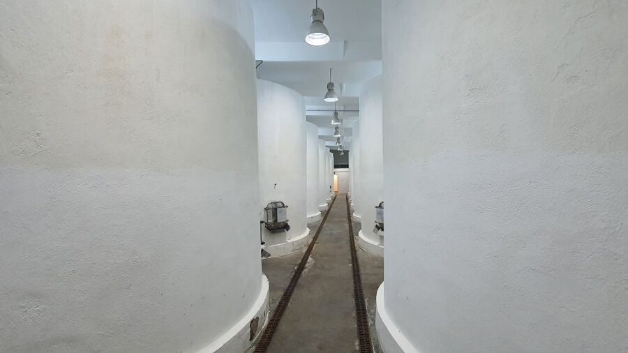 Bucharest: Dealu Mare Winery Private Trip with Wine Tasting - Price and logistics: what $210 buys in the real world