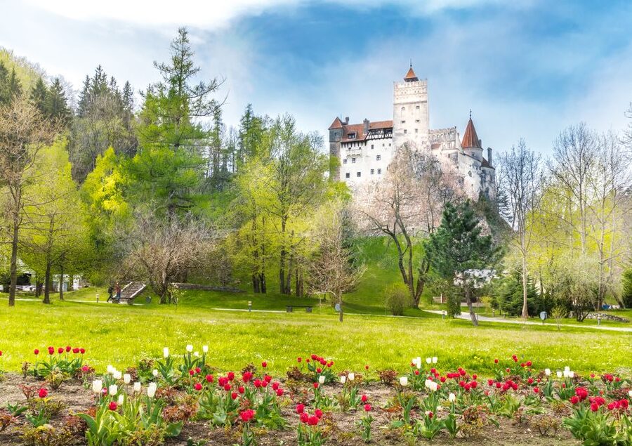 Bucharest: Dracula Castle, Peles Castle & Brasov Guided Tour - Sinaia and Peleș Castle: Neo-Renaissance beauty with guided detail