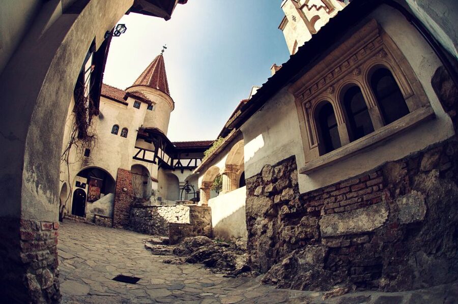 Bucharest: Dracula Castle, Peles Castle & Brasov Guided Tour - Pickup, bus time, and how to handle a 14-hour schedule