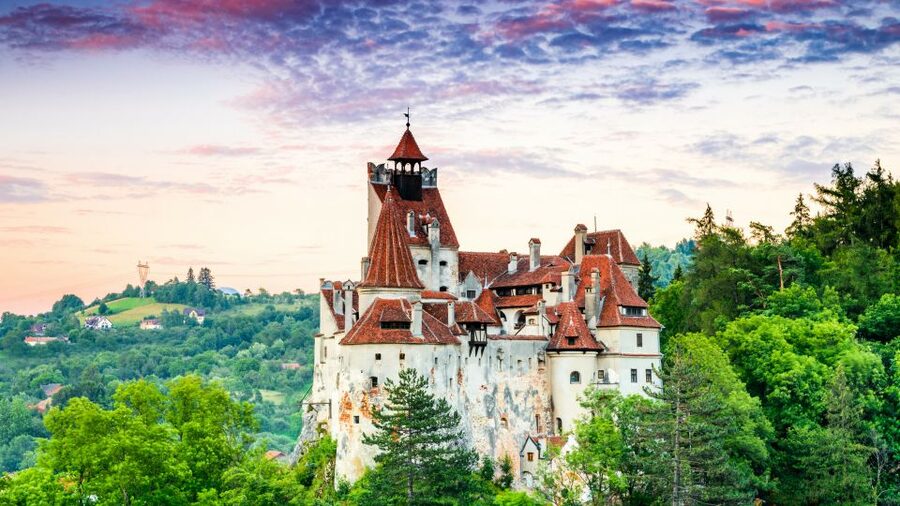 Bucharest: Dracula's Castle, Peles Castle, & Brasov Old Town - Who this tour suits best, and who should think twice