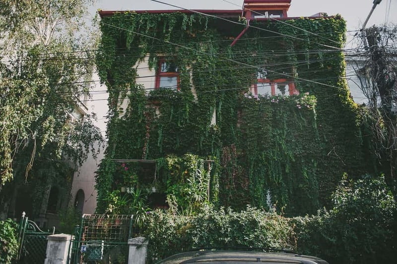 Bucharest: Hidden Gems 2.5-Hour Walking Tour - The Armenian Quarter and an Orthodox Replica with a Story