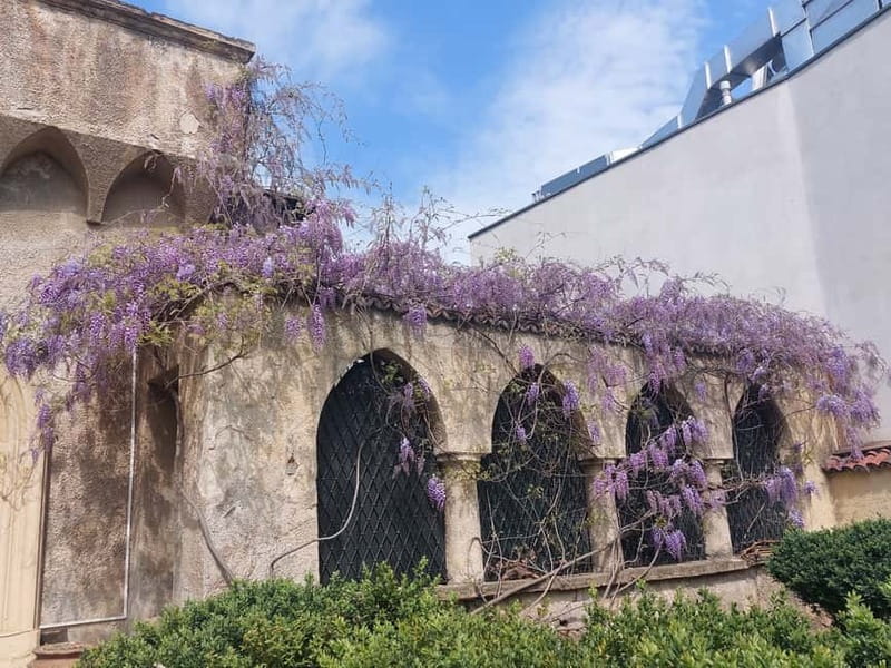 Bucharest: Hidden Gems 2.5-Hour Walking Tour - Ioanid Block and Icoanei Mahalla to Finish With Wow Factor