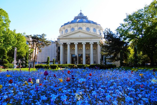 Bucharest Layover Tour (6 - Hour Private City Tour Between Flights) - Key things I’d pay attention to before booking