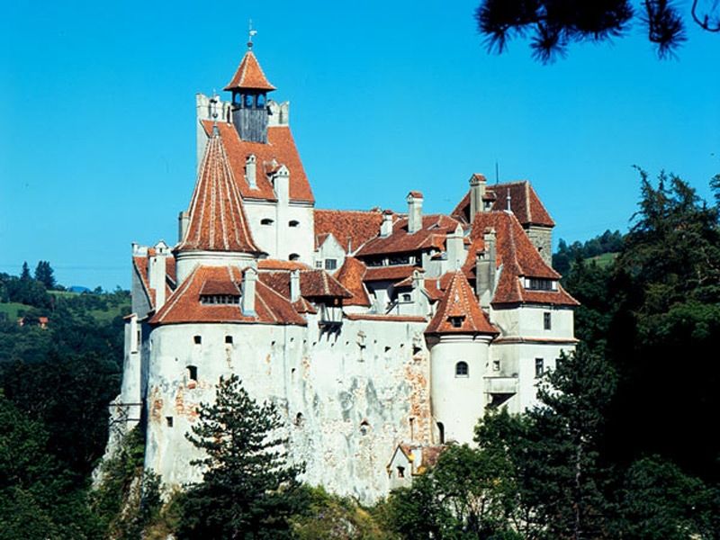 Bucharest: Peles Castle, Dracula's Castle and Brasov Tour - Brașov’s medieval streets and the Black Church stop you will remember