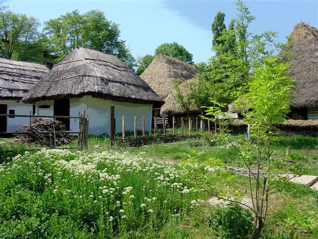 Bucharest: Private City Tour Guided Experience - Village Museum by Lake Herastrau: Romanian Rural Architecture Through the Ages