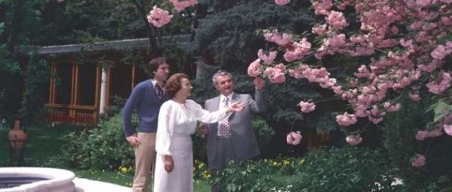 Bucharest: Private Last Days of Ceausescu Tour in a Dacia - Your guide and the classic car experience with Serban