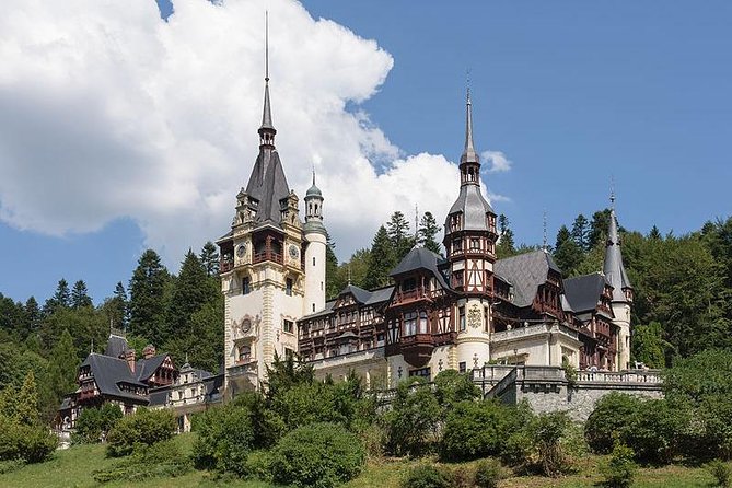 Bucharest Private Tour to Peles Castle & Biggest Salt Mine in Eu - Timing, pickup, and what to expect on the road