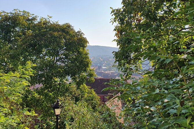 Bucharest Private Tour with Dracula's Grave and Ceaușescu Mansion - Key things to know before you go