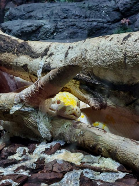 Bucharest: Reptiland Bucharest Entry Ticket - The terrariums and mini ecosystems that make it feel real