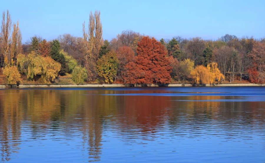 Bucharest Sightseeing Tour - Price and value: what $324 per group really gets you