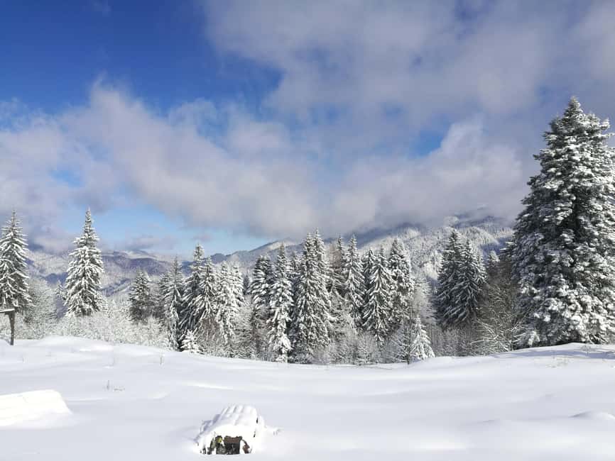 Bucharest: Snowmobile or ATV in the Carpathian Mountains - ATV or snowmobile: what you get for the $80 base price