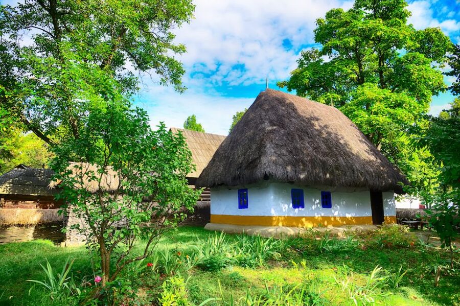 Bucharest & Surroundings: Half Day Tour - Booking Tips and What to Plan for on Your Day