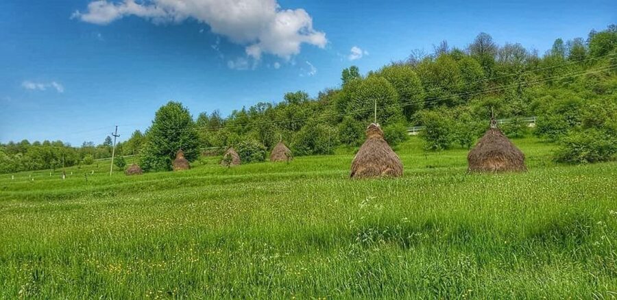 Bucharest: The Biggest Salt Mine in Europe & Wine Tasting - What Your Day Looks Like, Stop by Stop
