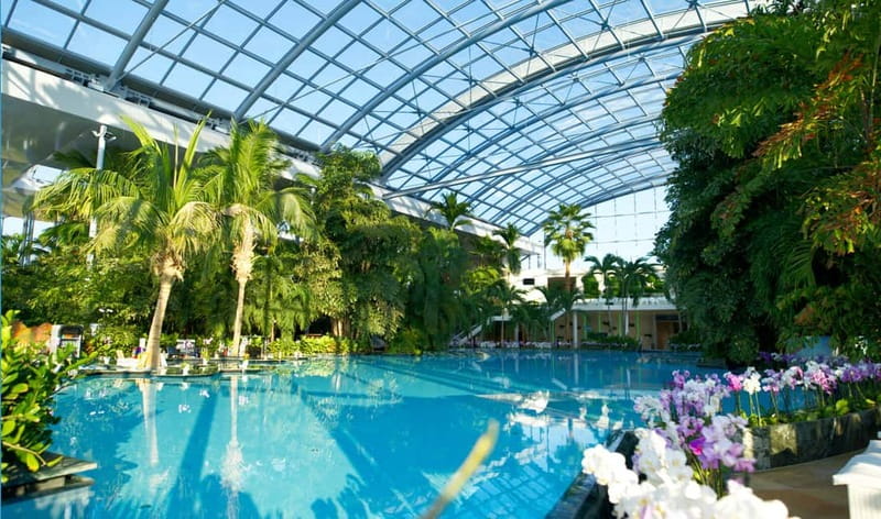 Bucharest: Therme București Entry Ticket with Transportation - Pickup Points in Bucharest: How the Shuttle Actually Works