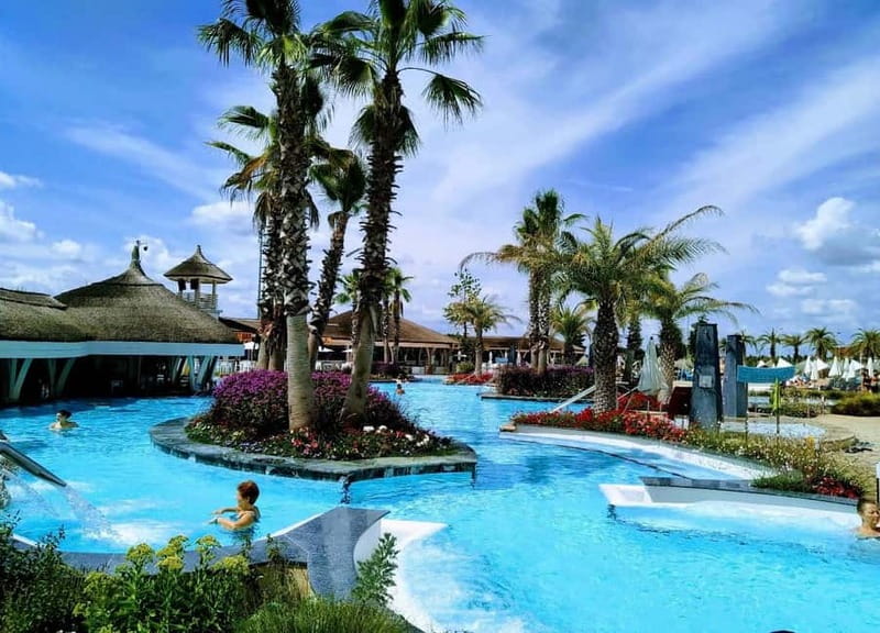 Bucharest: Therme Entry Ticket and Transfer - Exotic Gardens, Palm Trees, and Pool-Bar Moments