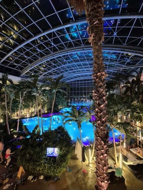Bucharest: Therme Entry Ticket and Transfer - Getting There by Luxury Car, Not Public Transit