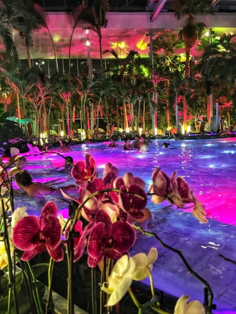 Bucharest: Therme Spa Night Experience with Transfer - Key highlights you’ll care about