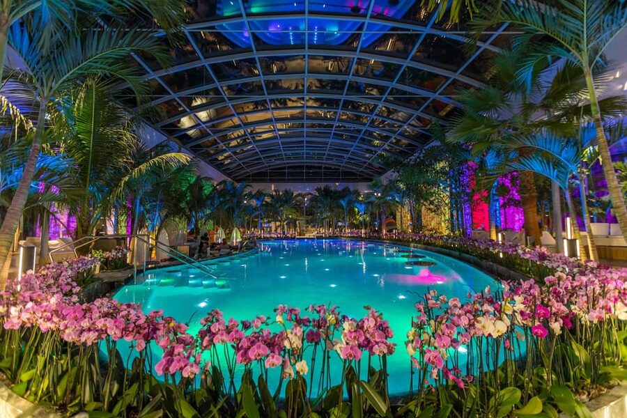 Bucuresti: Therme Bucharest Evening Entry Ticket & Transfer - Who should book this evening Therme Bucharest transfer