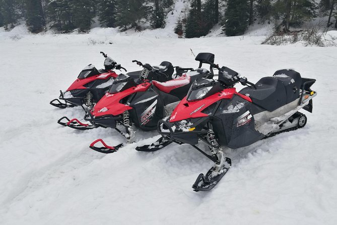 Carpathian mountains Snowmobile, ATV or Buggy tour in one day - Azuga and the one-hour snowmobile, ATV, or buggy ride