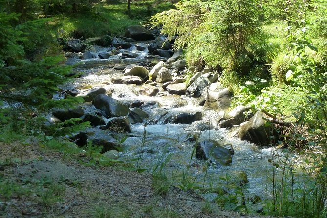 Carpathians in Romania: Bucegi Natural Park with native Spanish guide. - The western side advantage, shepherd life, and fewer crowds