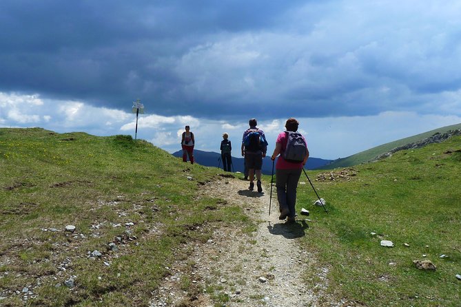 Carpathians in Romania: Bucegi Natural Park with native Spanish guide. - Moieciu de Sus start time and the rhythm of a long hike day