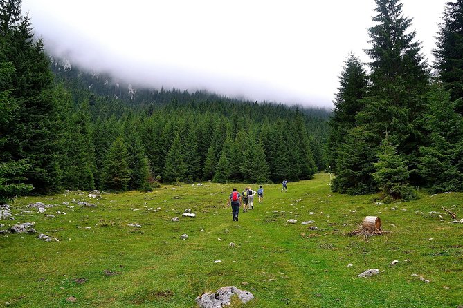 Carpathians in Romania: Piatra Craiului National Park with native Spanish guide. - Piatra Craiului and Zarnesti Gorge, the Carpathians day trip way