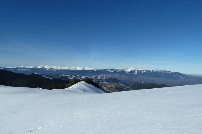 Carpathians in Romania: Piatra Craiului National Park with native Spanish guide. - Cabana Curmatura at 1470 m, the technical pause that keeps the day fun