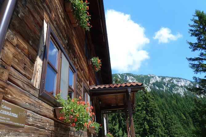 Carpathians in Romania: Piatra Craiului National Park with native Spanish guide. - Poiana Zanoaga and the backtrack, where you notice the small stuff