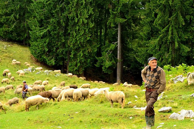 Carpathians in Romania: Piatra Craiului National Park with native Spanish guide. - Price and value: $96.33 for a guided national park day
