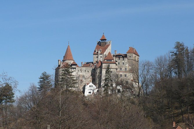 Castles Private Tour Peles - Bran - Rasnov from Brasov - Florin’s Guide Style: English Explanations That Change How You See Each Site