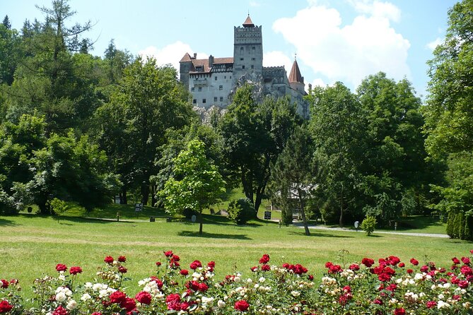 Castles Private Tour Peles - Bran - Rasnov from Brasov - Should You Book This Private Castles Tour from Brasov?