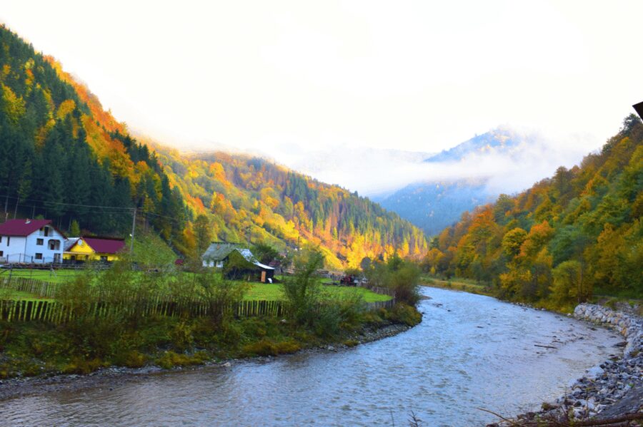 CJ03 - Day trip to Maramures Mocanita Train from Cluj Napoca - Steam, timber, and why this train ride feels different from most tours
