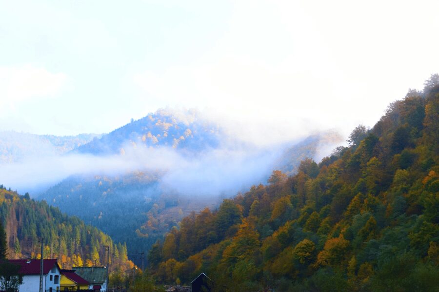 CJ03 - Day trip to Maramures Mocanita Train from Cluj Napoca - Maramureș traditions: wooden architecture and the mountain survival story