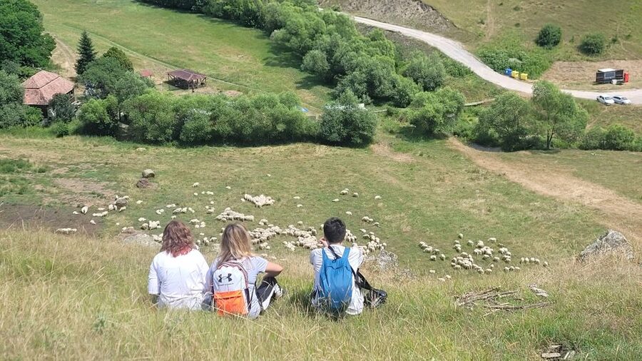 Cluj: Outdoor Activities Day Trip with Zip Line and Hike - Guide style: English support, help on slippery sections, and good pacing