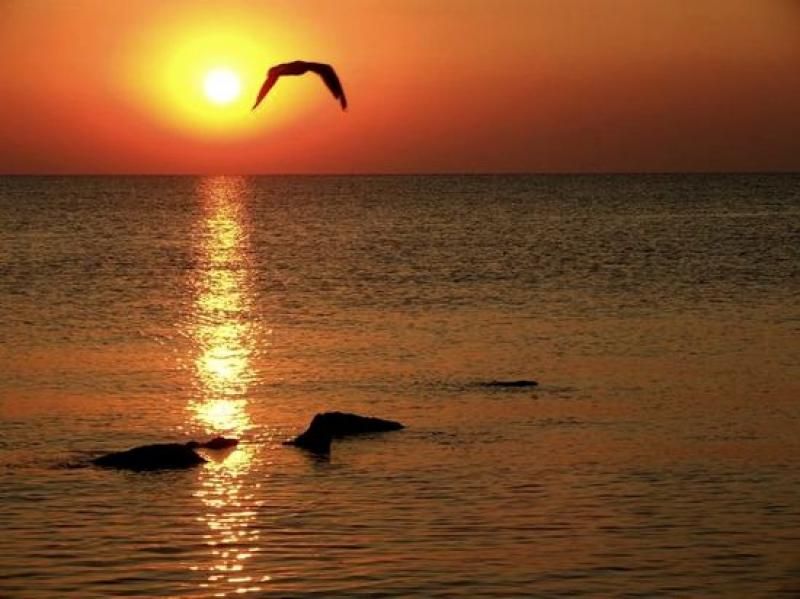 Constanta: Full Day Tour from Bucharest to the Black Sea - Key things to know before you go