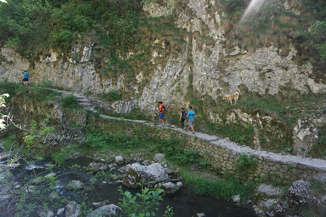 Curly Tour - Day trip from Cluj :) - What you should pack (so the day stays fun)