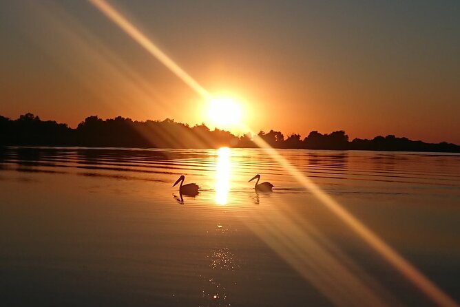 Daily Tours in the Danube Delta - Camely Cruise - Who This Cruise Is Best For